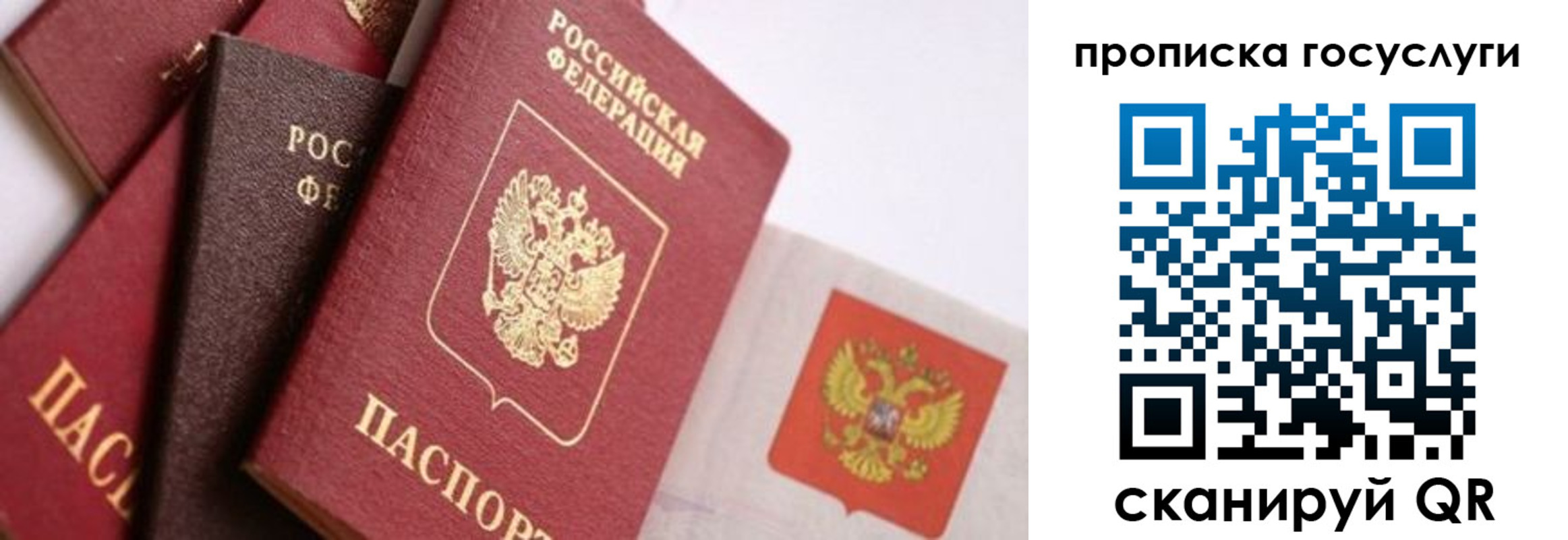 прописка законно в Саках